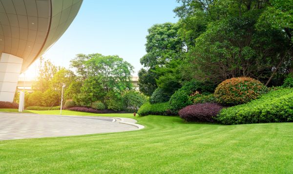 Cost of Commercial Lawn Mowing in Midland