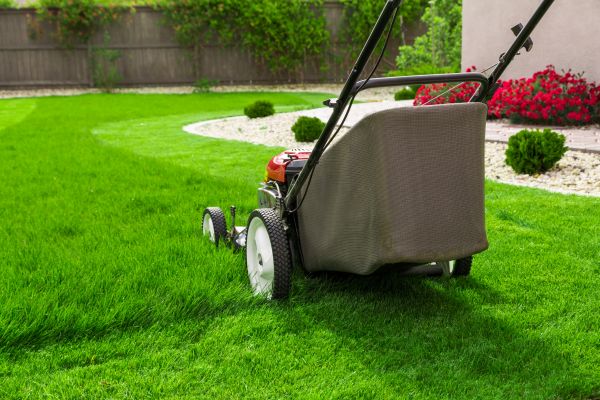 Cost of Grass Mowing in Midland