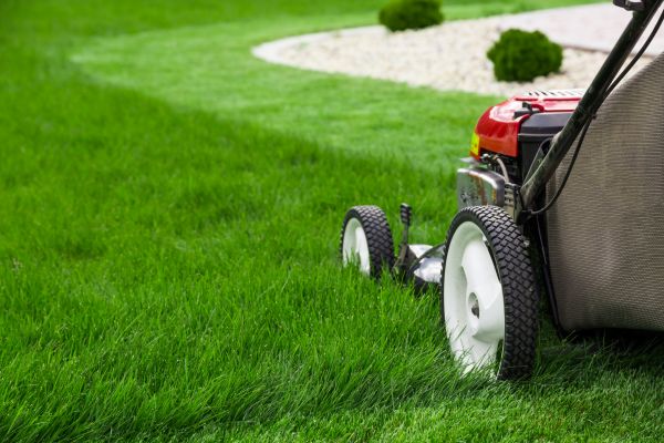 Lawn Cutting Service in Midland