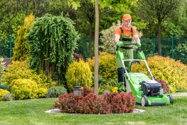 Yard Service in Midland
