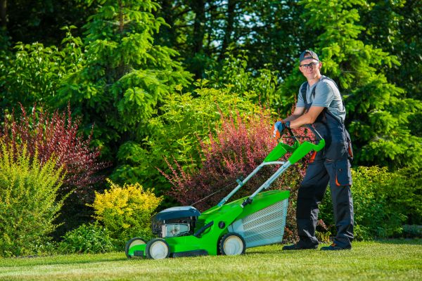 Yard Work Service in Midland