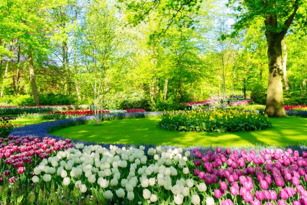 Spring Lawn Care in Midland