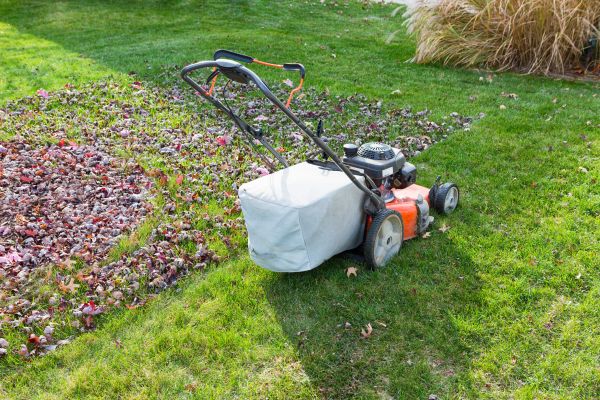 Seasonal Lawn Care in Midland
