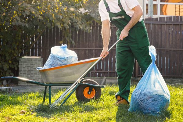 Yard Cleaning in Midland