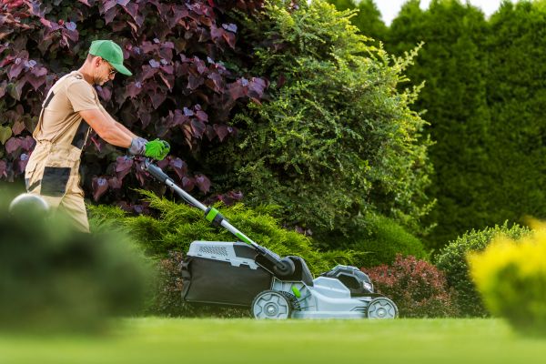 Lawn Management in Midland