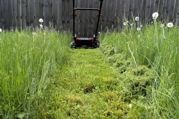 Cost of High Grass Mowing in Midland
