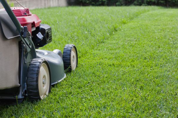 Summer Lawn Care in Midland