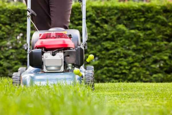 Grass Trimming Service in Midland