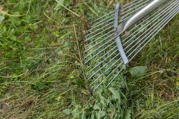 Thatch Raking in Midland