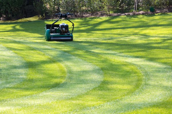 Cost of Business Lawn Mowing in Midland