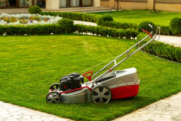 Cost of Business Grass Cutting in Midland