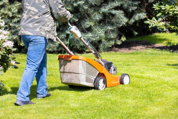 Springtime Lawn Care in Midland