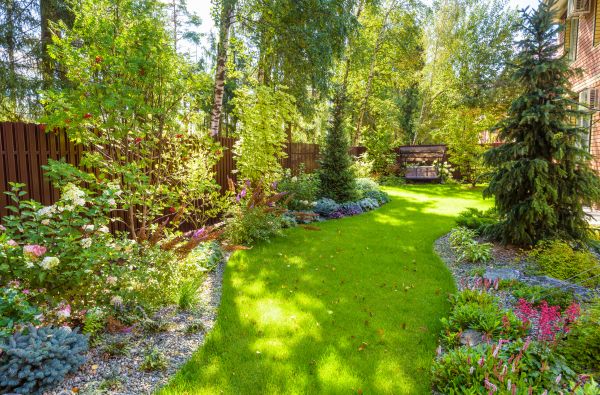 Spring Yard Maintenance in Midland